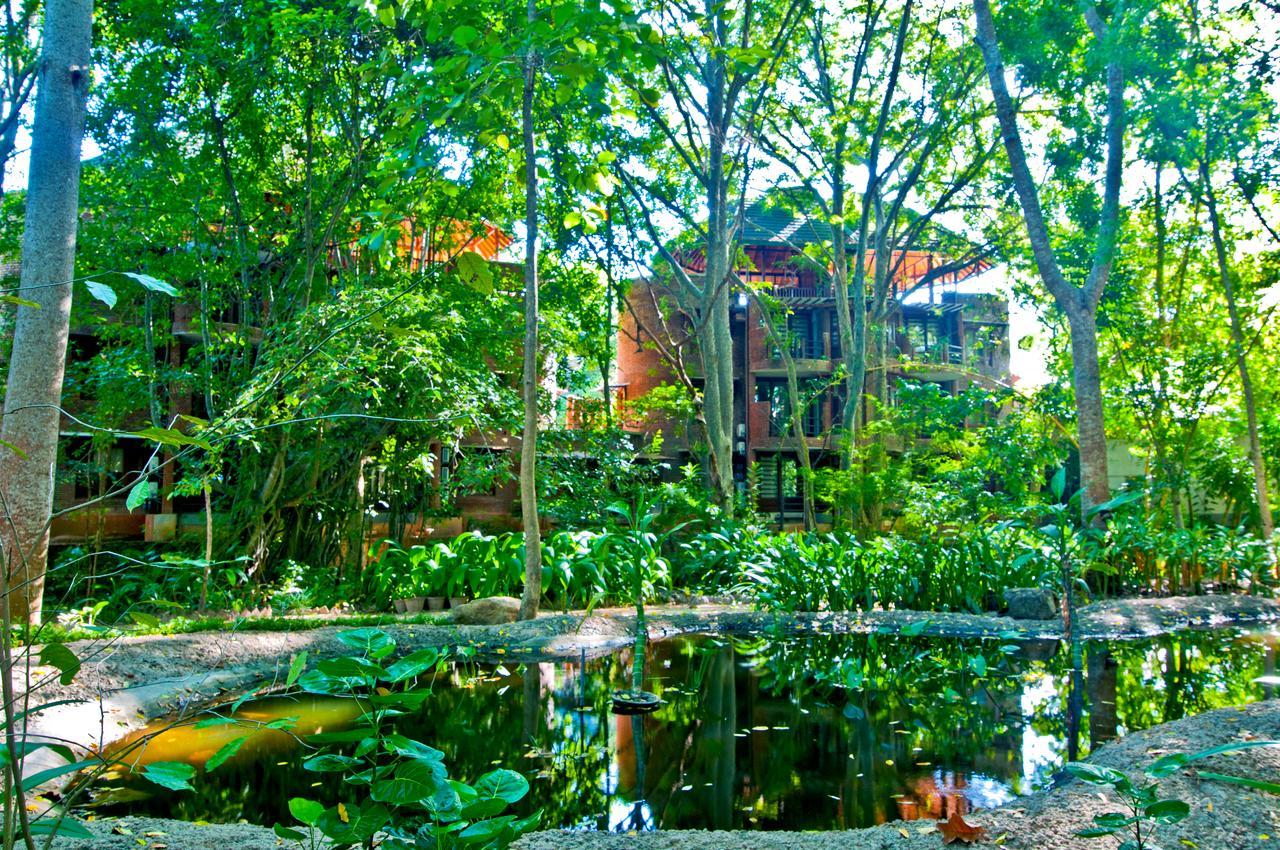 منتجع Grand Udawalawe Safari المظهر الخارجي الصورة